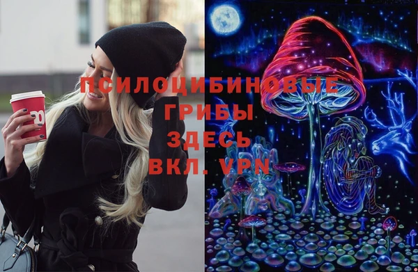 мдма Белокуриха