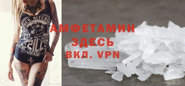 индика Белоозёрский