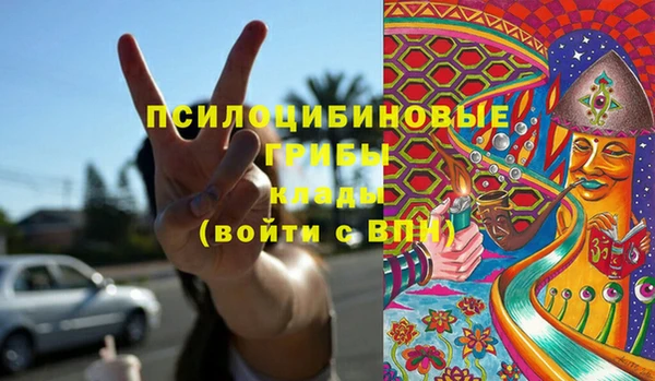 индика Белоозёрский