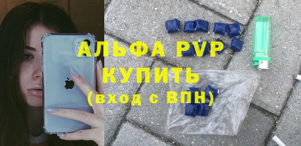 индика Белоозёрский
