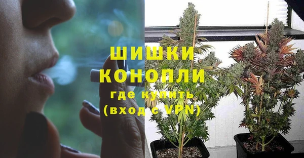 индика Белоозёрский