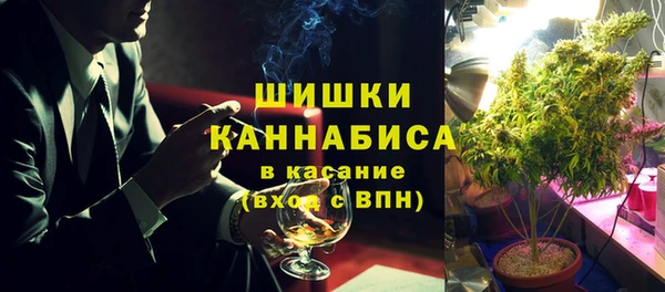 индика Белоозёрский