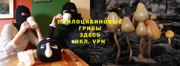 мдма Белокуриха