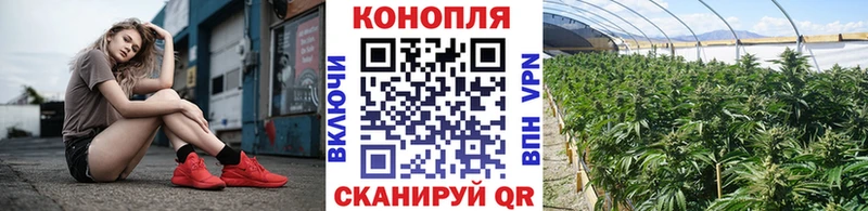 Купить Бугуруслан Бошки марихуана OG Kush